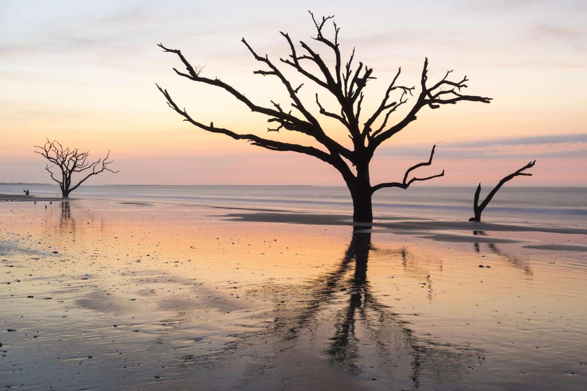 Relax, Renew, Retreat Villa Kiawah Island Bagian luar foto